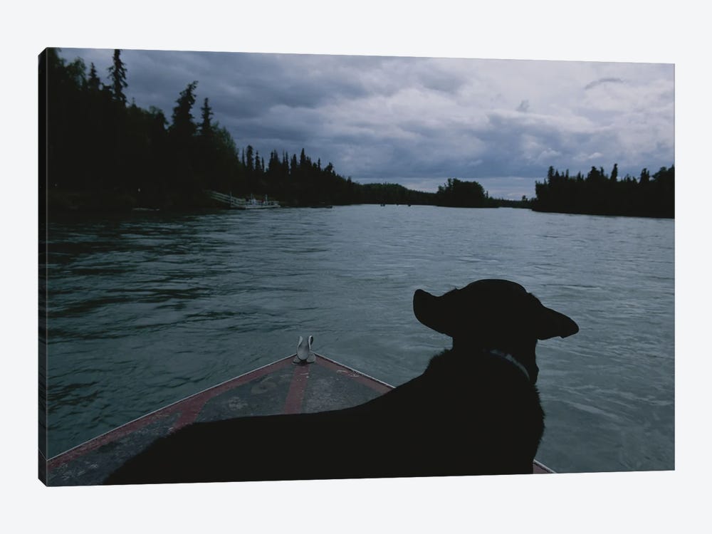 A Black Labrador Dog Travels Up The Kenai River On A Boat's Bow II by Joel Sartore 1-piece Canvas Print