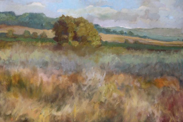 Cozy Cottage: Napa Wine Country by Sally Rosenbaum