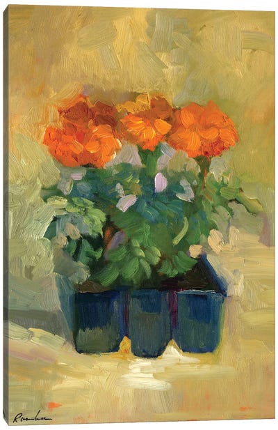 Marigold Set Canvas Art Print - Sally Rosenbaum