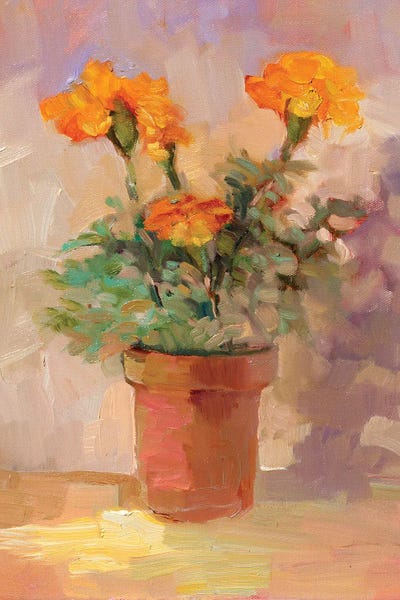 Marigolds Of Summer by Sally Rosenbaum canvas print