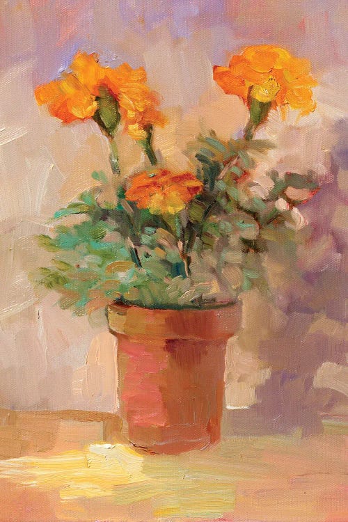 Marigolds Of Summer