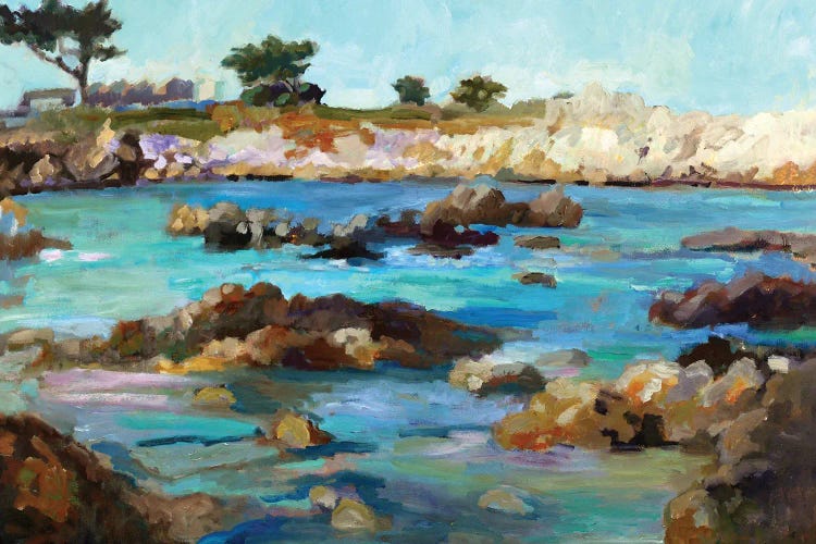 California Coast by Sally Rosenbaum wall art