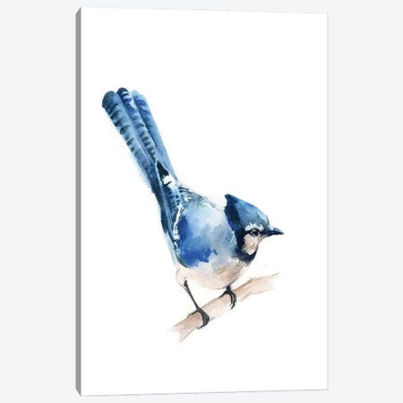 Blue Jay Canvas Print #SRV100} by Sophie Rodionov Canvas Art