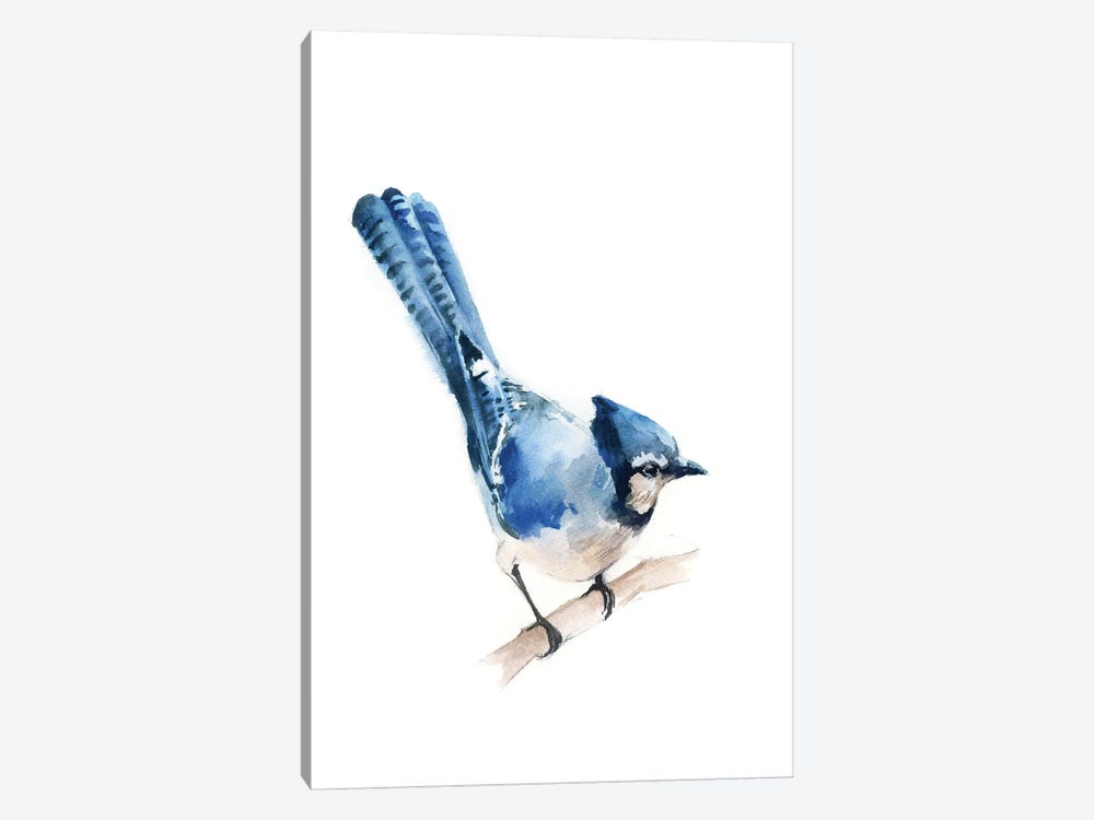 Blue Jay by Sophie Rodionov 1-piece Canvas Art Print