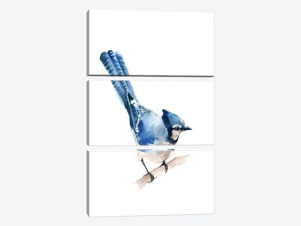 Blue Jay by Sophie Rodionov 3-piece Canvas Print