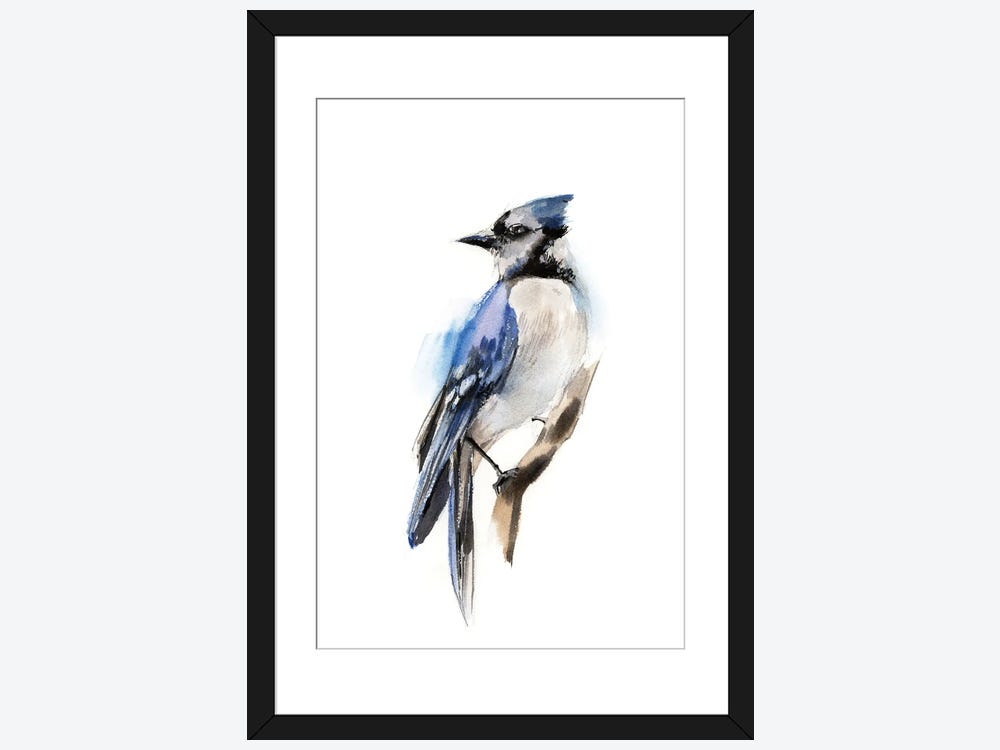 Silver Pink Bluejay