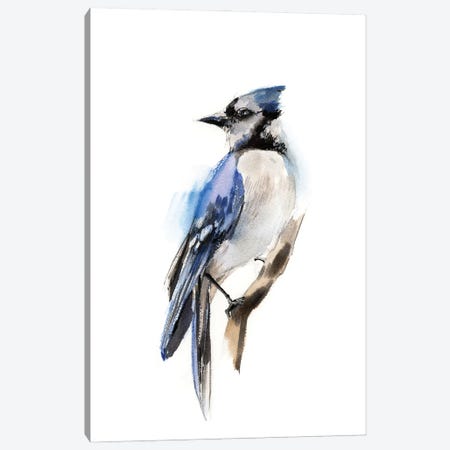 Blue Jay Bird Canvas Print #SRV101} by Sophie Rodionov Canvas Artwork