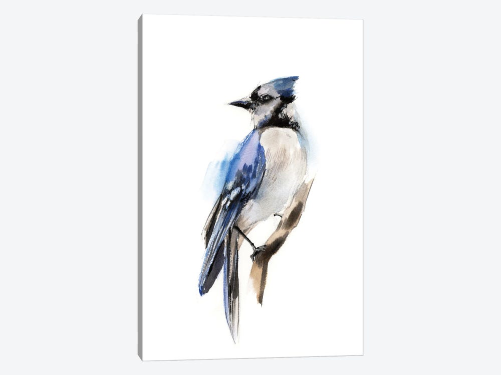 Blue Jay Bird by Sophie Rodionov 1-piece Canvas Wall Art