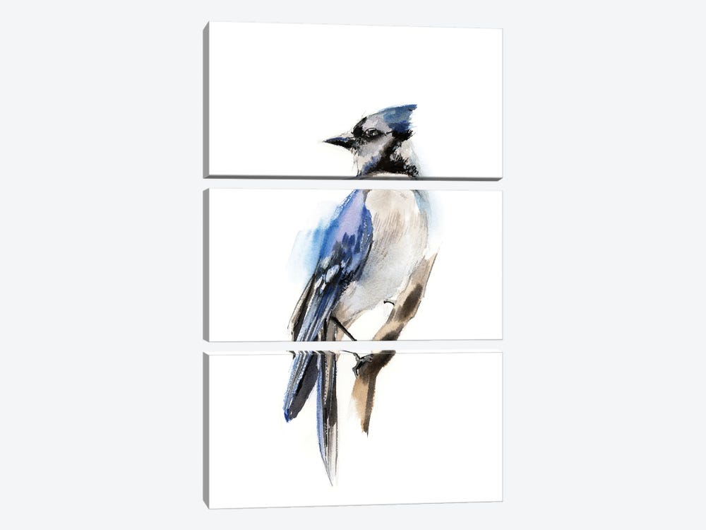 Blue Jay Bird by Sophie Rodionov 3-piece Canvas Wall Art