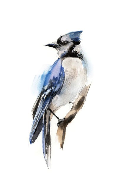 Modern Farmhouse Living Room: Blue Jay Bird by Sophie Rodionov