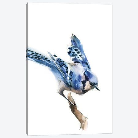Blue Jay Birdie Canvas Print #SRV102} by Sophie Rodionov Canvas Wall Art