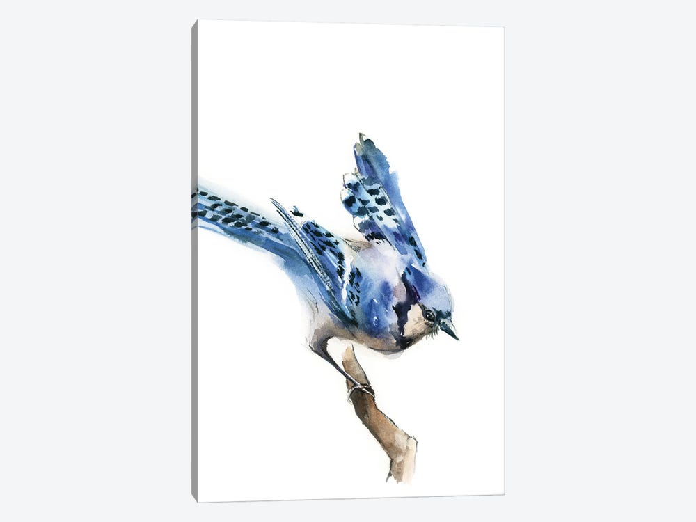 Blue Jay Birdie by Sophie Rodionov 1-piece Art Print