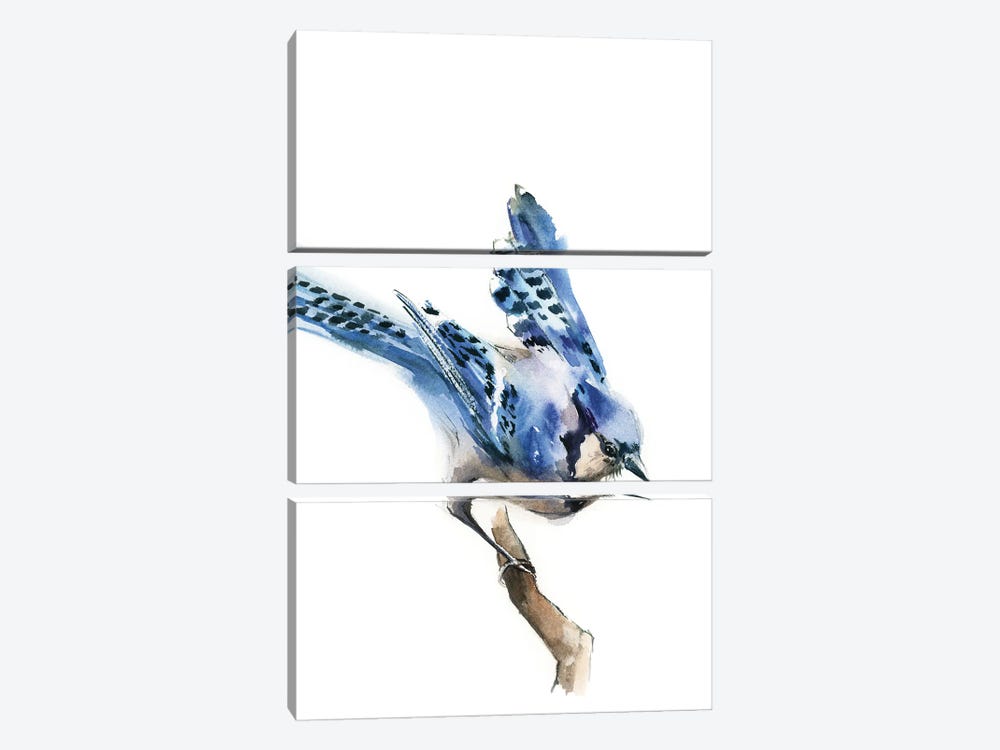 Blue Jay Birdie by Sophie Rodionov 3-piece Canvas Art Print
