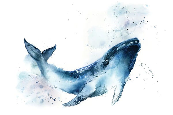 Whales: Whale by Sophie Rodionov