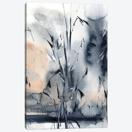 Blue Herbs II Canvas Print #SRV108} by Sophie Rodionov Canvas Artwork