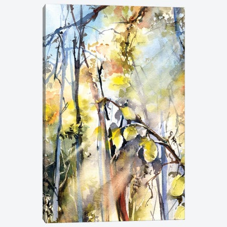 Sunlight Forest II Canvas Print #SRV10} by Sophie Rodionov Canvas Wall Art