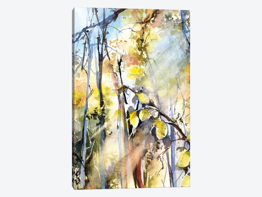Sunlight Forest II by Sophie Rodionov 1-piece Canvas Artwork