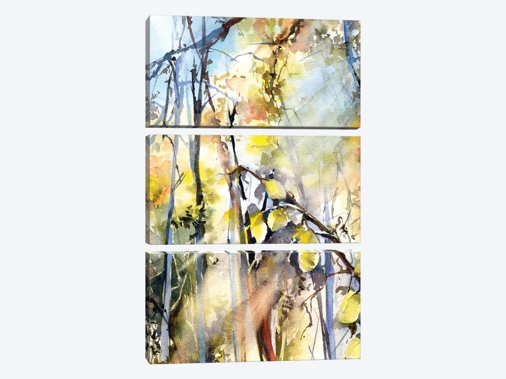 Sunlight Forest II by Sophie Rodionov 3-piece Canvas Art