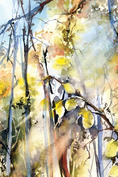 Refreshing Workspace: Sunlight Forest II by Sophie Rodionov