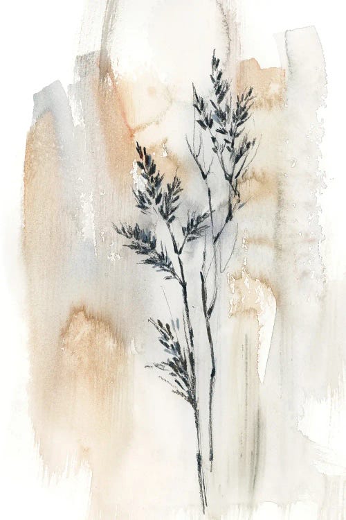 Herbs In Natural Colors II