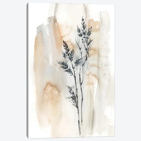 Herbs In Natural Colors II Canvas Print #SRV115} by Sophie Rodionov Canvas Wall Art