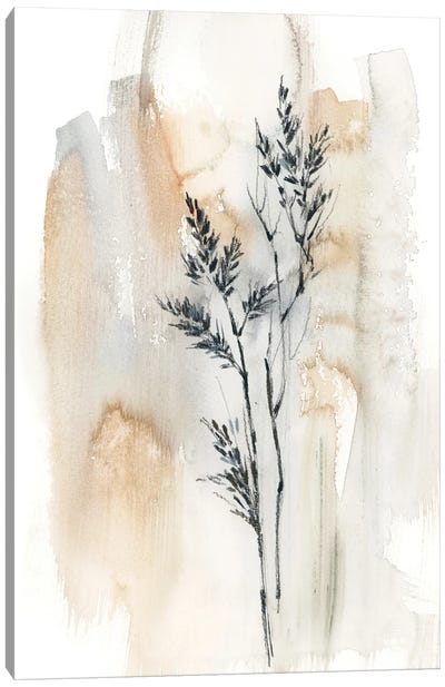 Herbs In Natural Colors II Canvas Art Print - Abstract Watercolor Art