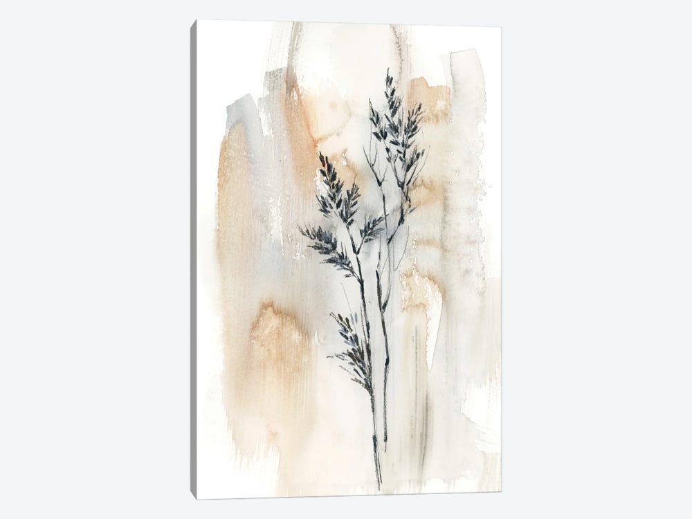 Herbs In Natural Colors II by Sophie Rodionov 1-piece Canvas Art Print