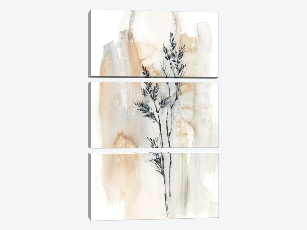 Herbs In Natural Colors II by Sophie Rodionov 3-piece Canvas Art Print