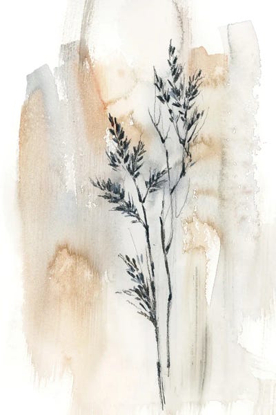 Scandinavian Office: Herbs In Natural Colors II by Sophie Rodionov