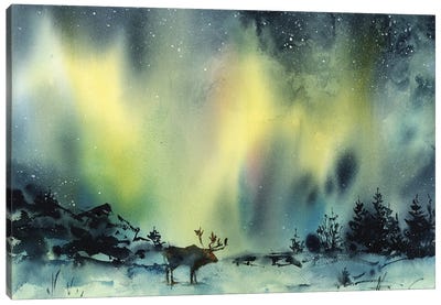 Aurora Canvas Art Print - Aurora Borealis Art