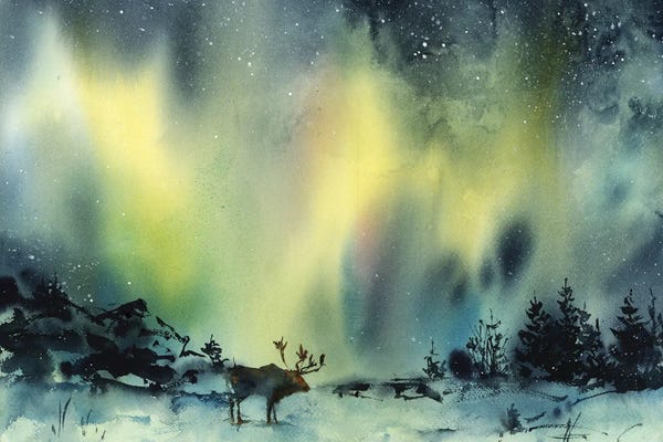 Aurora Borealis: Aurora by Sophie Rodionov