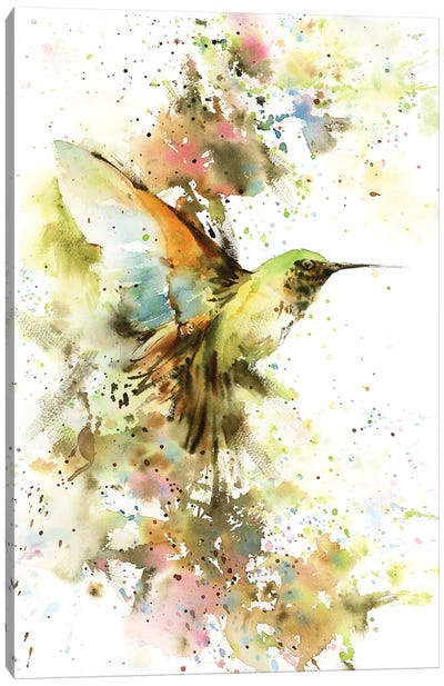 Hummingbird In Summer Colors Canvas Art Print - Hummingbird Art
