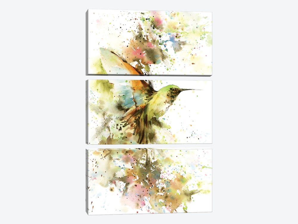 Hummingbird In Summer Colors by Sophie Rodionov 3-piece Canvas Wall Art