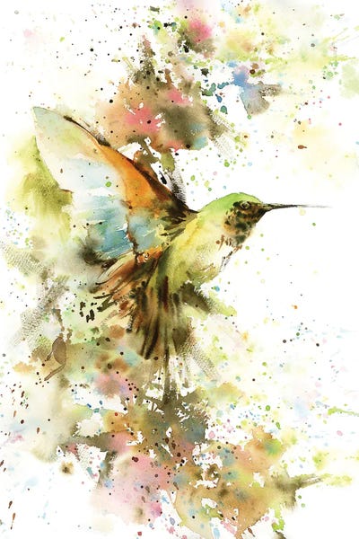 Serene Watercolors: Hummingbird In Summer Colors by Sophie Rodionov