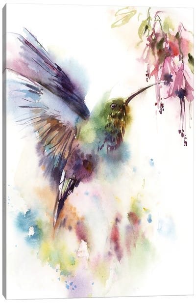 Hummingbird And Tropical Flowers Canvas Art Print - Sophie Rodionov