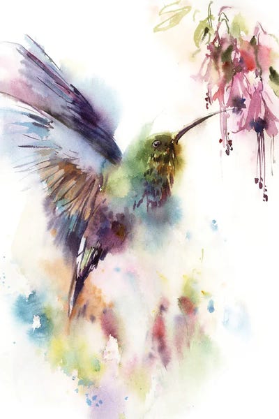 Hummingbirds: Hummingbird And Tropical Flowers by Sophie Rodionov