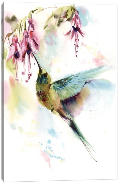 Hummingbird With Pink Flowers Canvas Art Print - Pastels