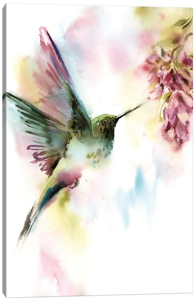 Hummingbird With Pink Florals Canvas Art Print - Serene Watercolors