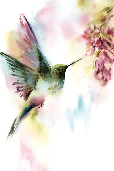 Serene Watercolors: Hummingbird With Pink Florals by Sophie Rodionov
