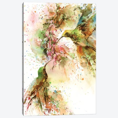 Hummingbirds Canvas Print #SRV141} by Sophie Rodionov Canvas Wall Art