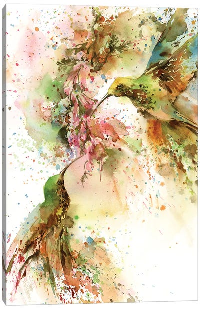 Hummingbirds Canvas Art Print - Sophie Rodionov