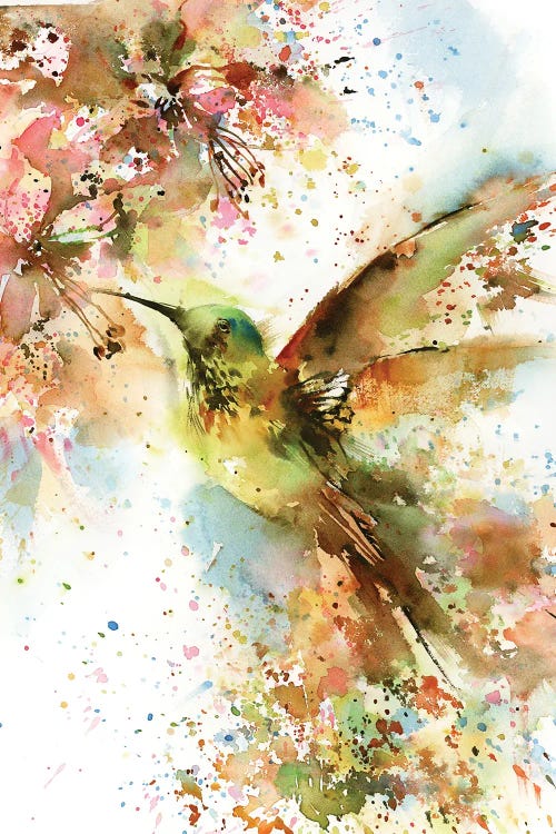 Hummingbird In Bright Colors