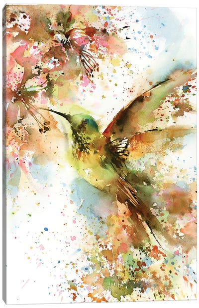 Hummingbird In Bright Colors Canvas Art Print - Hummingbird Art