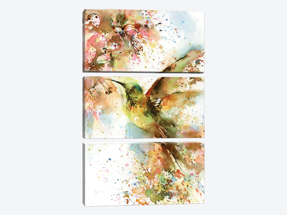 Hummingbird In Bright Colors by Sophie Rodionov 3-piece Canvas Artwork