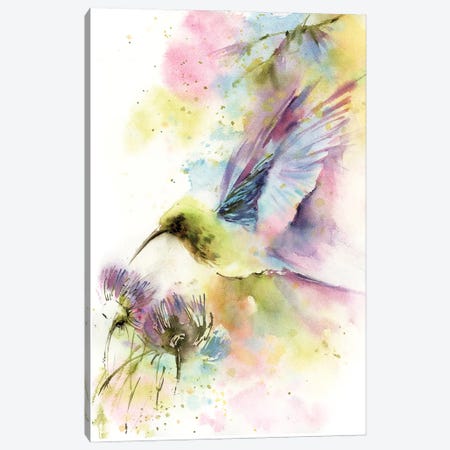 Hummingbird In Pastel Colors Canvas Print #SRV146} by Sophie Rodionov Art Print