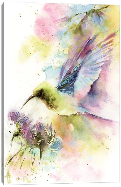 Hummingbird In Pastel Colors Canvas Art Print - Sophie Rodionov