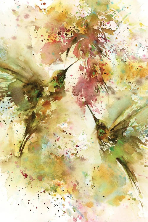 Summer Hummingbirds