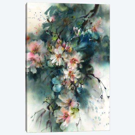Almond Blossoms Canvas Print #SRV158} by Sophie Rodionov Canvas Art Print