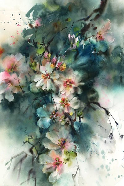 Almond Blossoms: Almond Blossoms by Sophie Rodionov