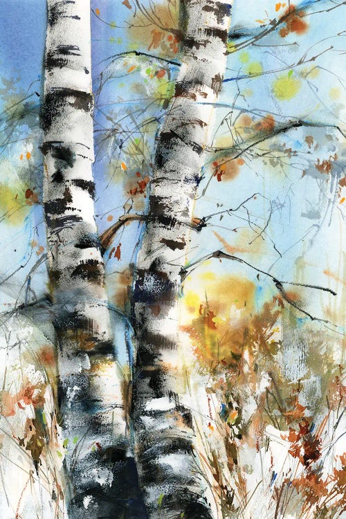 Birch Trees